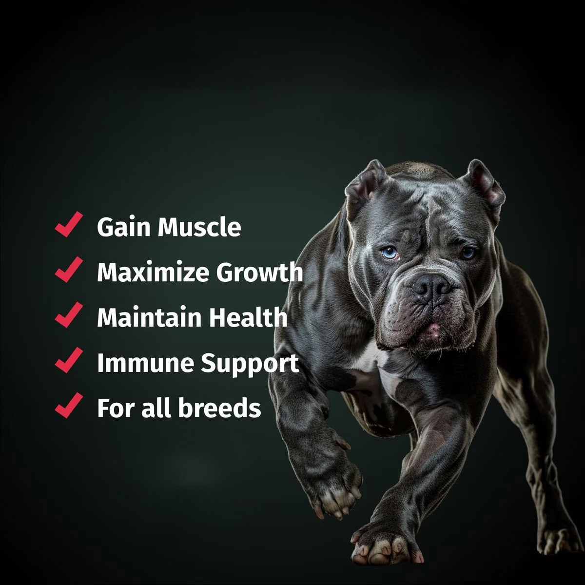 High Calorie Protein Dog Muscle Builder Supplement Dry Dog Food Soft Chews Joint Pet Health Muscle Growth Gain Weight Supplement