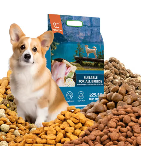 Premium Balanced Dog Dry Food Multiple Flavors Nutritious Daily Pet Staple Food Dry Dog Food for All Life Stages