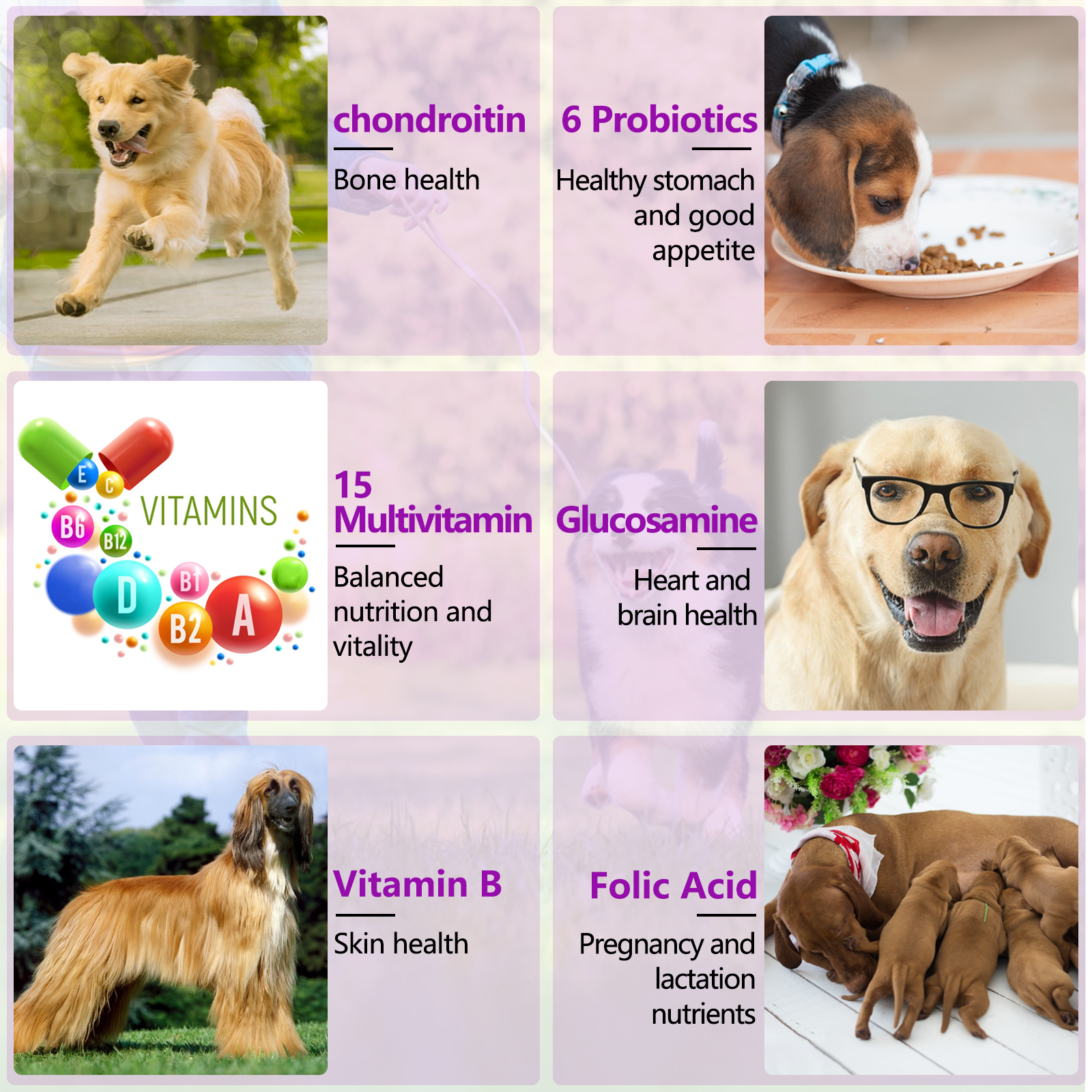 Supplement Details 4