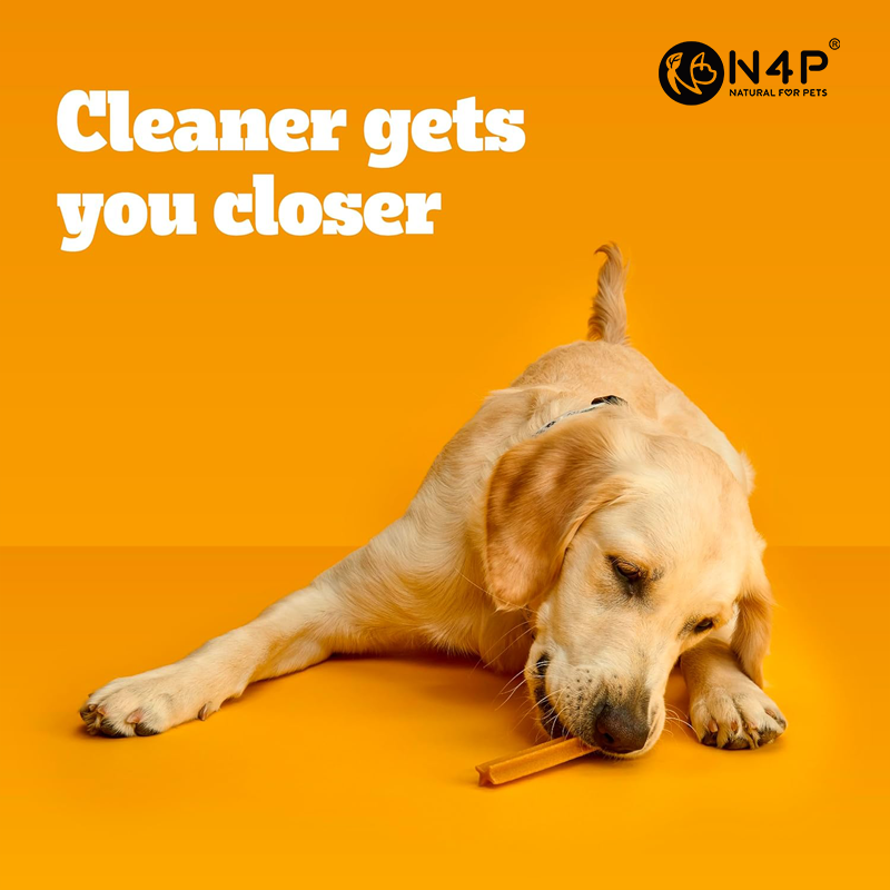 OEM &amp; ODM High Quality Original Flavor Multi-functional Dog Dental Chews - for Daily Oral Care &amp; Pet Rewards