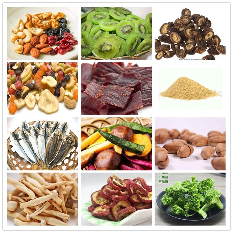 Industrial Dehydrator Freeze Dried Cats Dry Pet Dog Food Drying Machine for Food Processing