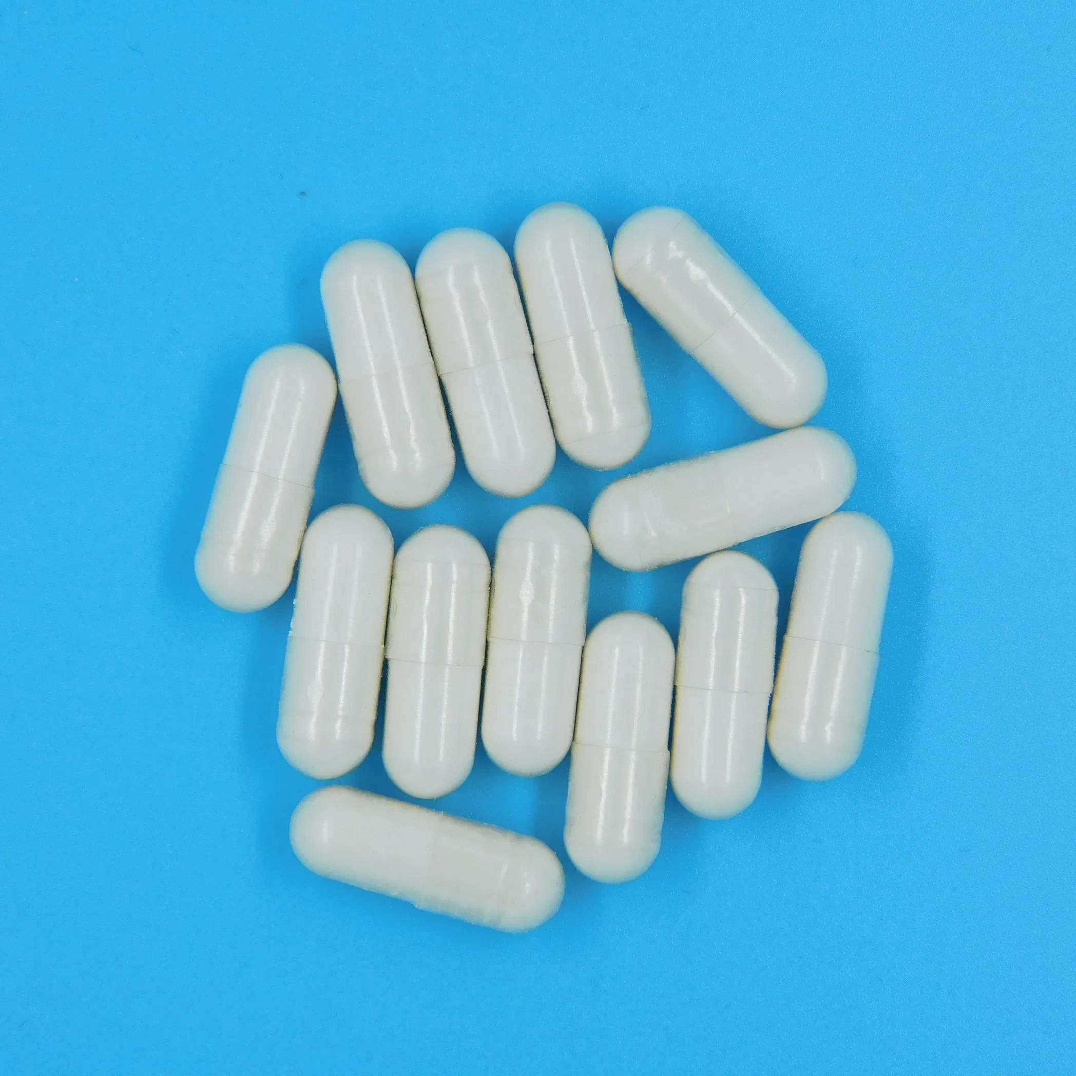 Premium Gut Health Support Formula for Optimal Digestion