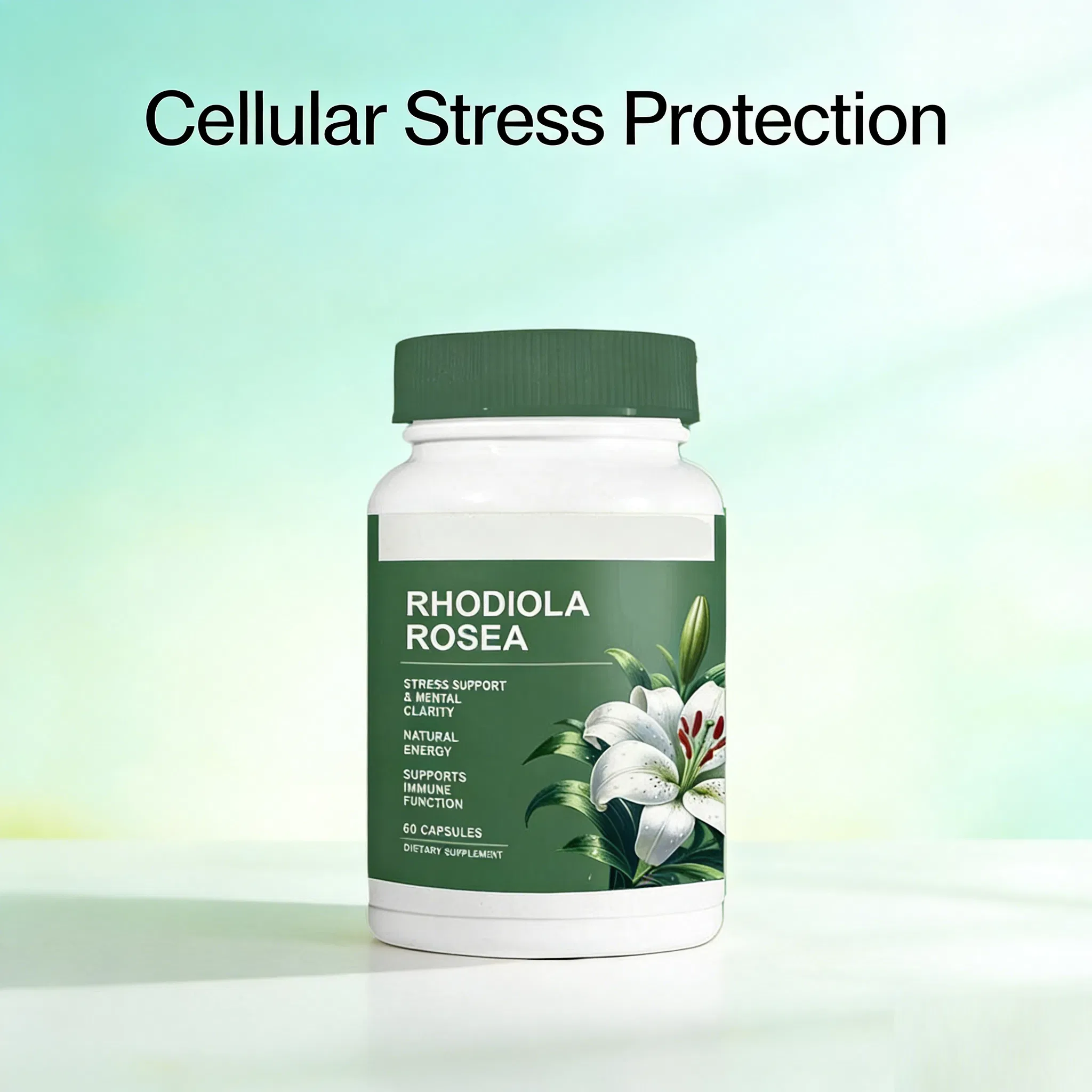 Rhodiola Health Food Supplement - OEM Formula for Enhanced Brain Performance