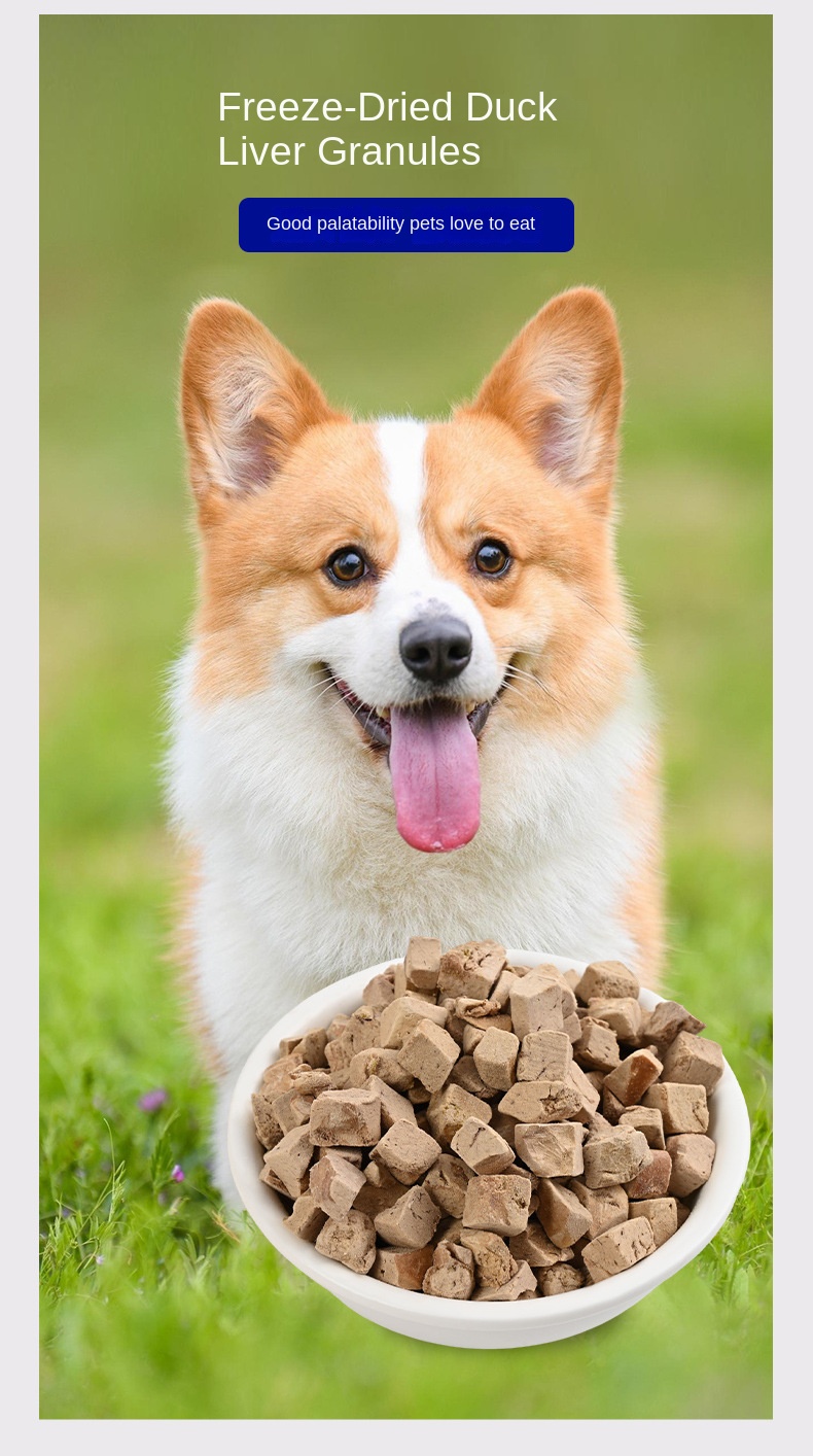 Pet Freeze Dried Snack View 6