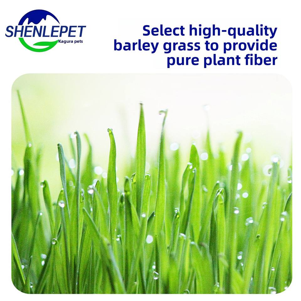 OEM Wholesale Freeze-Dried Cat Grass Granules Natural Teeth Cleaning Hairball Control Pet Snacks for Cats and Dogs All Life