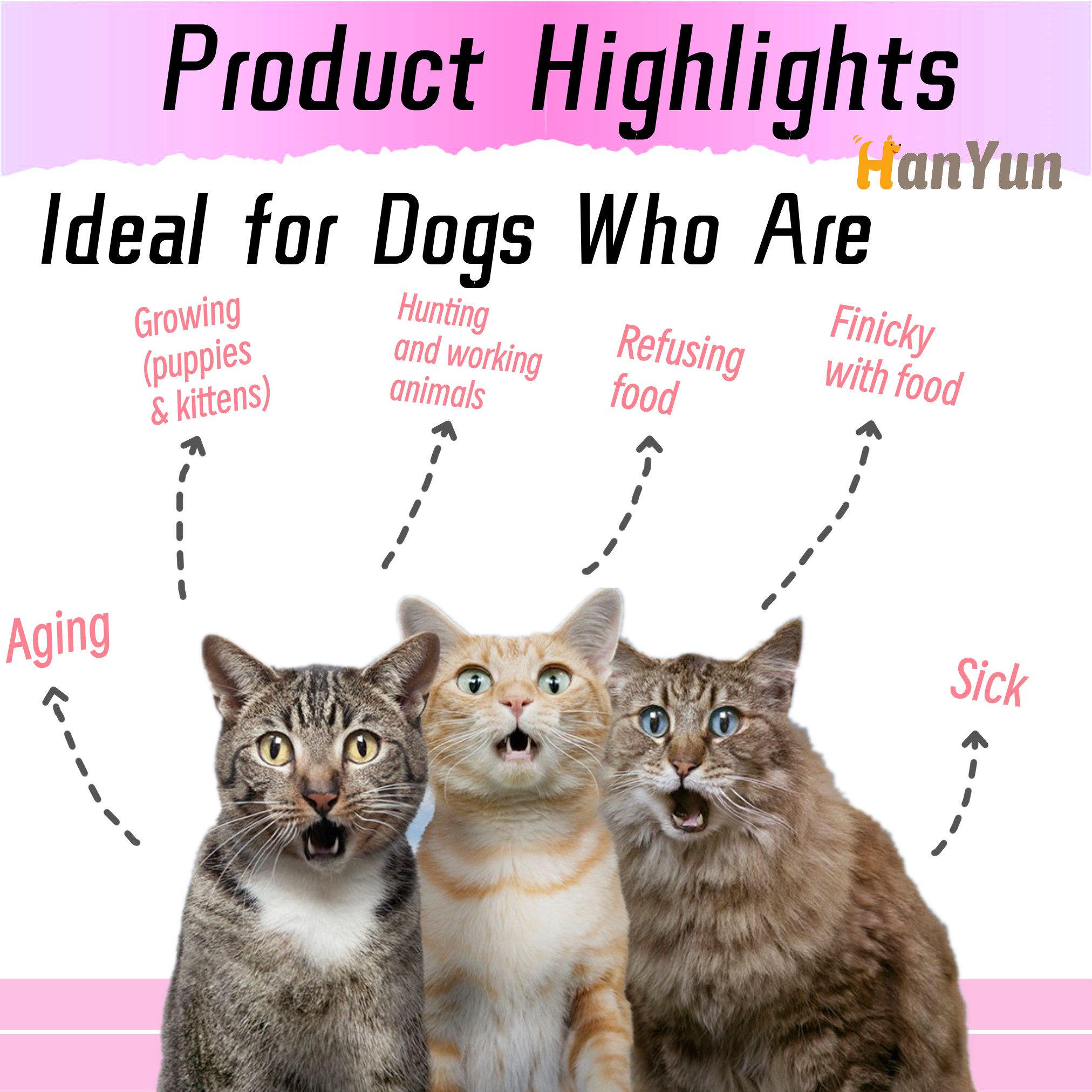 Pet High Calorie Nutritional Paste Supplement Promote Growing Relief Sick,Aging and Refusing Food for Dog Cat