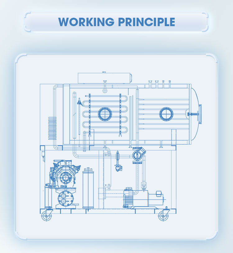 Freeze Dryer Work Principle Diagram