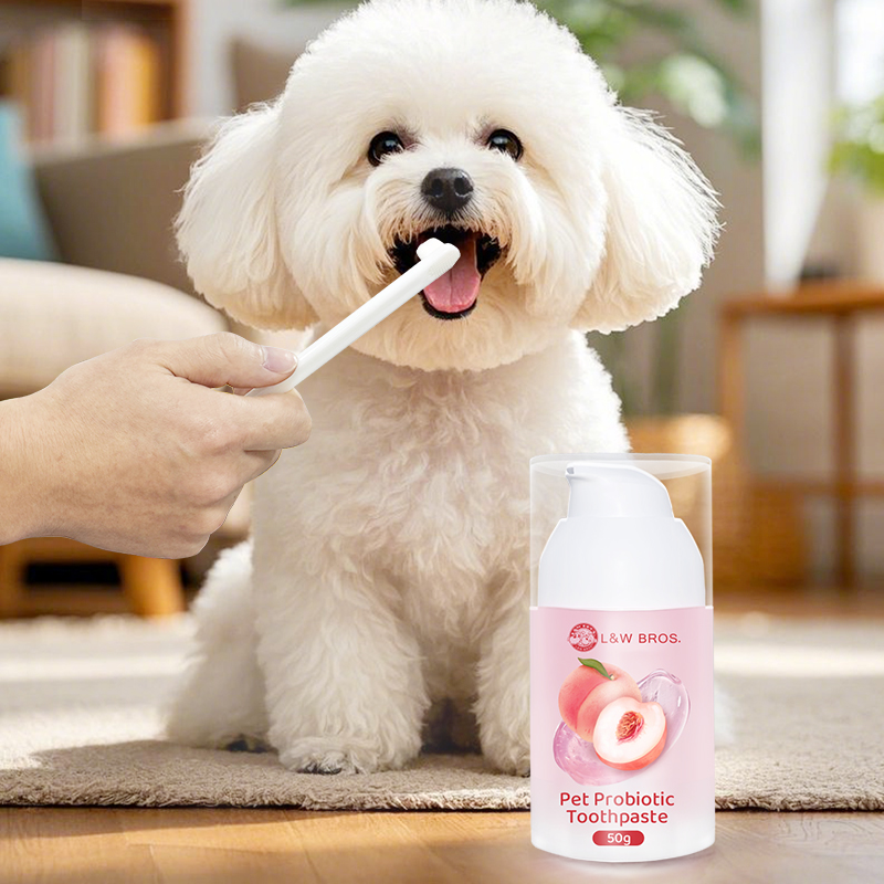 Factory Wholesale 50g Chicken/Fish Flavour Dog Dental Care Probiotic Pet Cat Dog Toothpaste