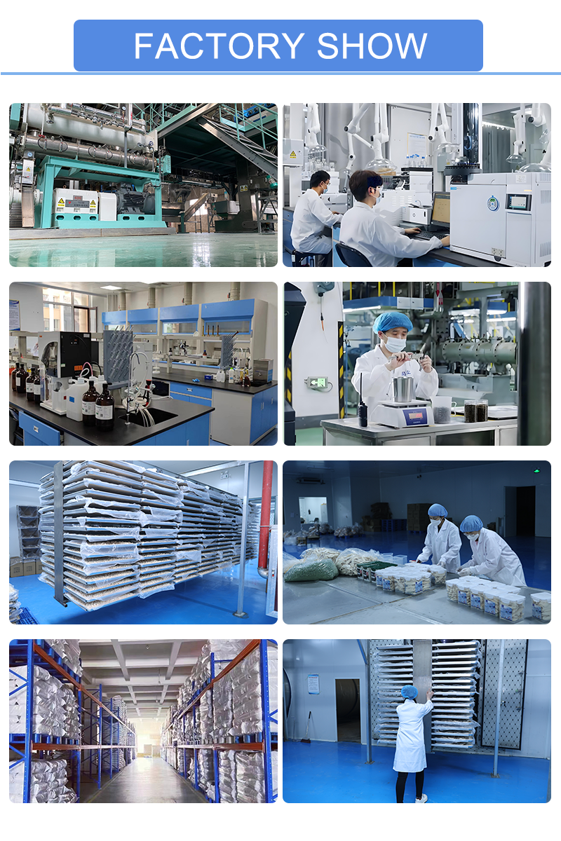 Company Facility Image 2