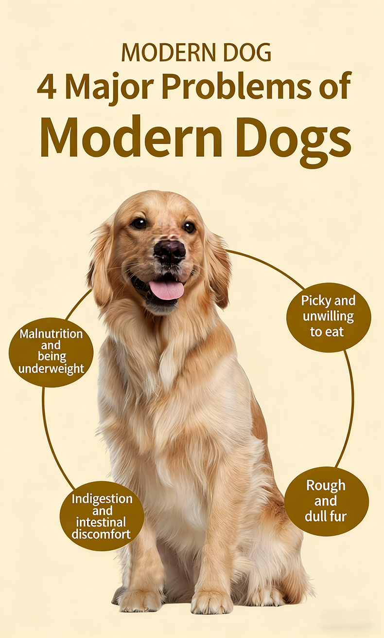 OEM ODM Freeze-Dried Pet Food Dry Kibble Pure Meat Formula High Palatability Provides High-Quality Protein for Your Beloved Pets