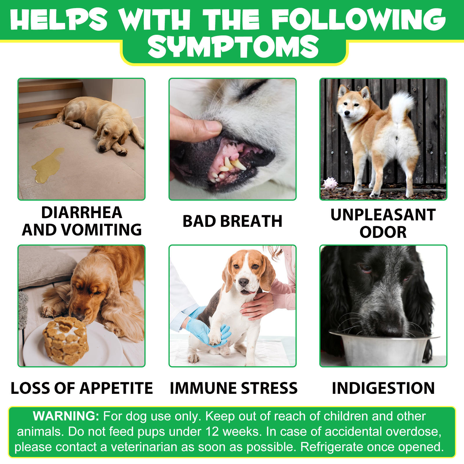 Daily Pet Probiotic Supplements Natural Probiotic Soft Chews For Dogs With Digestive Enzyme Gut Health