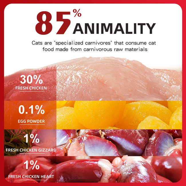 Chicken Recipe with Freeze-Dried Dry Cat Food Premium Savory Palatable Wholesome Diet Feed Fodder Snack 2 Kg