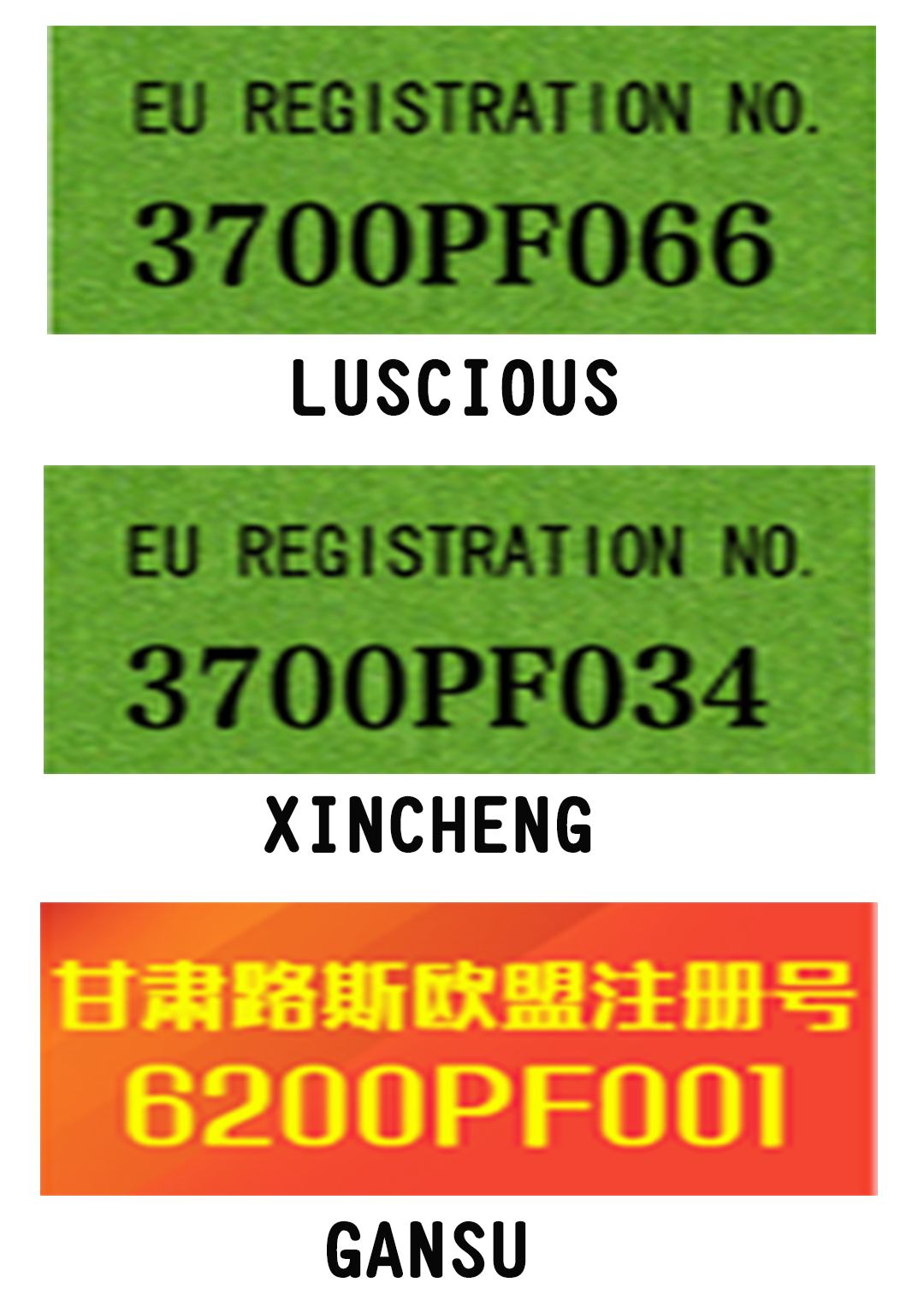 Certification 8