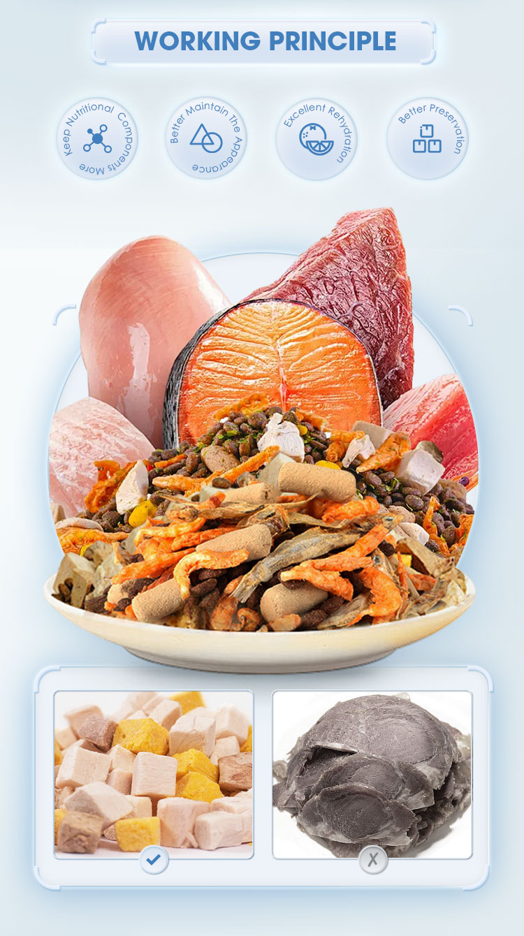 Freeze Dried Fruits Application