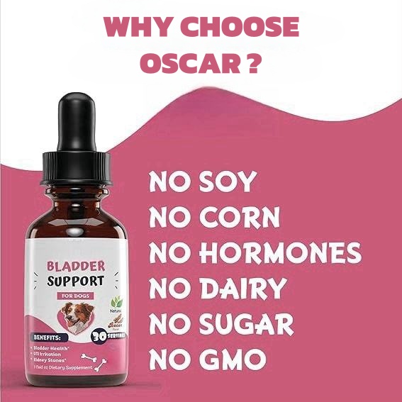 OEM/ODM Factory Custom Pet Bladder Liquid Drops Support Bladder Health &amp; Kidney Health For Dogs - Dog Nutritional Supplements
