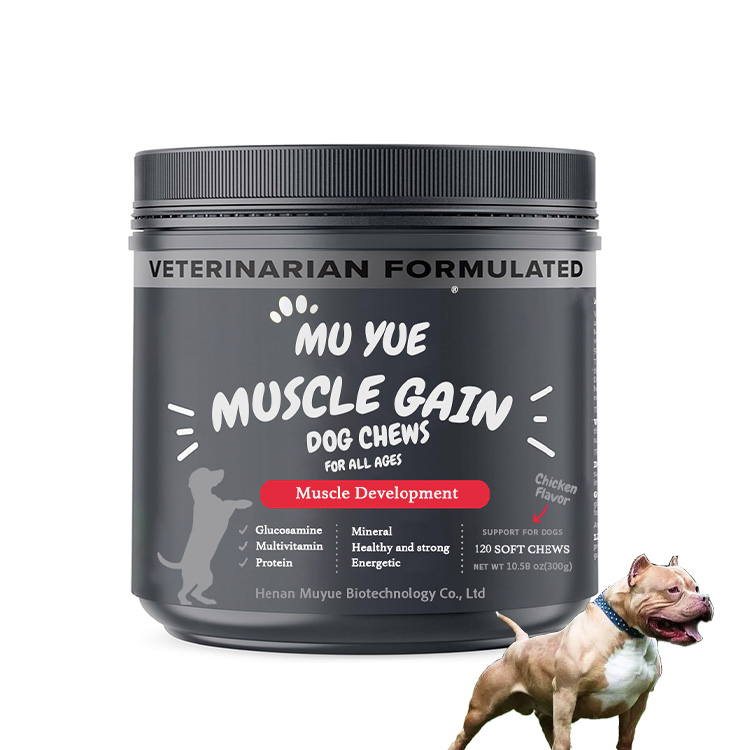 High Protein Supplement for Dogs Various Flavors Immune System Strengthener Muscle Gain Booster Supports Bully Development
