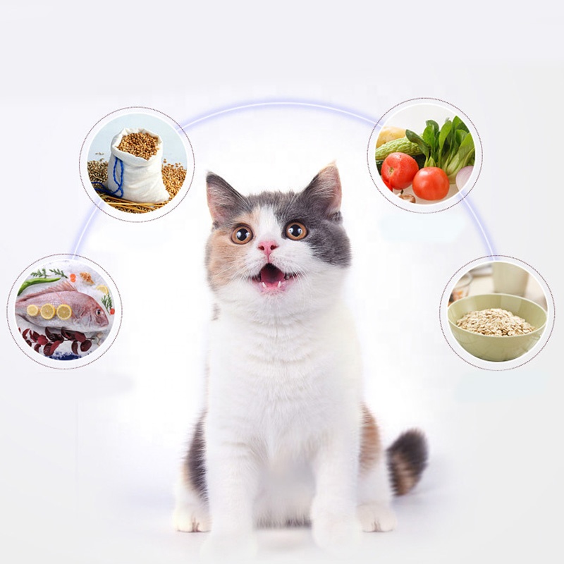 Premium Nutrition, Dry Cat Food, Chicken &amp; Tuna Recipe 3 kg Food Chicken Dry Pet Food 15kg