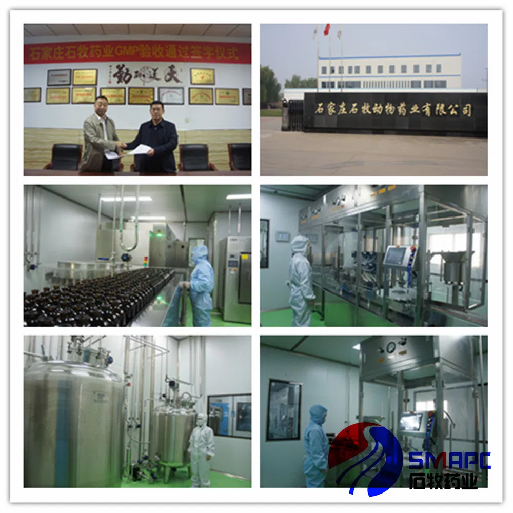 Veterinary Medicine Water Soluble Vitamin Ad3e Powder for Animal Health and Nutrition