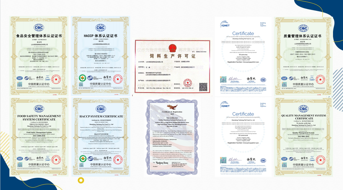 Global Certificates Quality Assurance