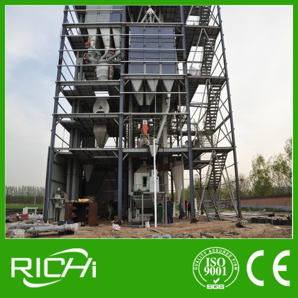 RICHI Customized 20-30T/H Complete Poultry Animal Cattle Chicken Feed Factory For Algeria Customer