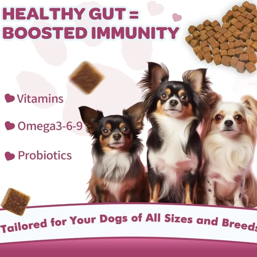 Dog Digestive Care Probiotics Gallery 4