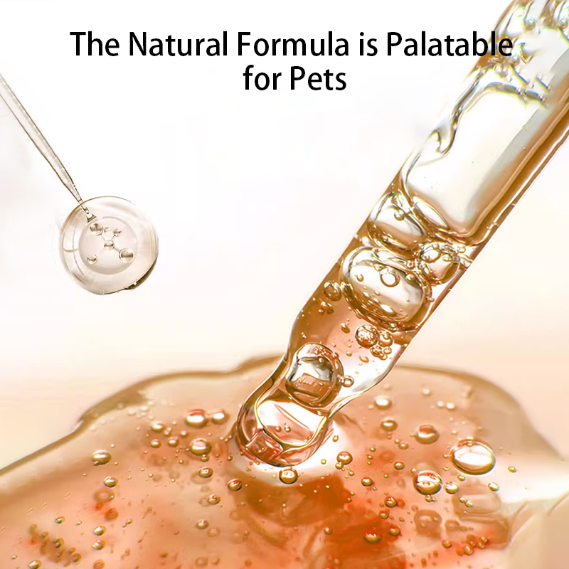Veterinary Supplement Cat Health Feed Nutrition Liquid Oral Use