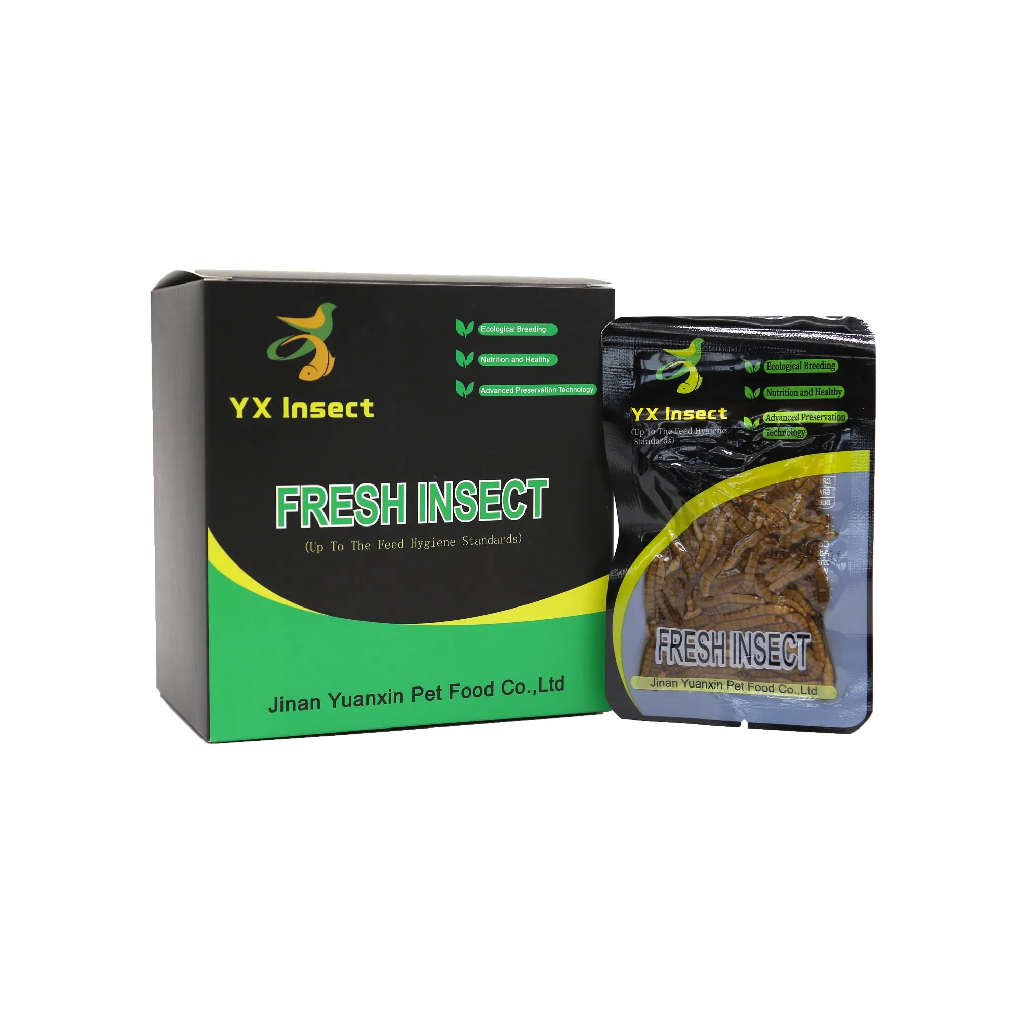 High Nutrition Fresh Mealworms for Poultry Feed