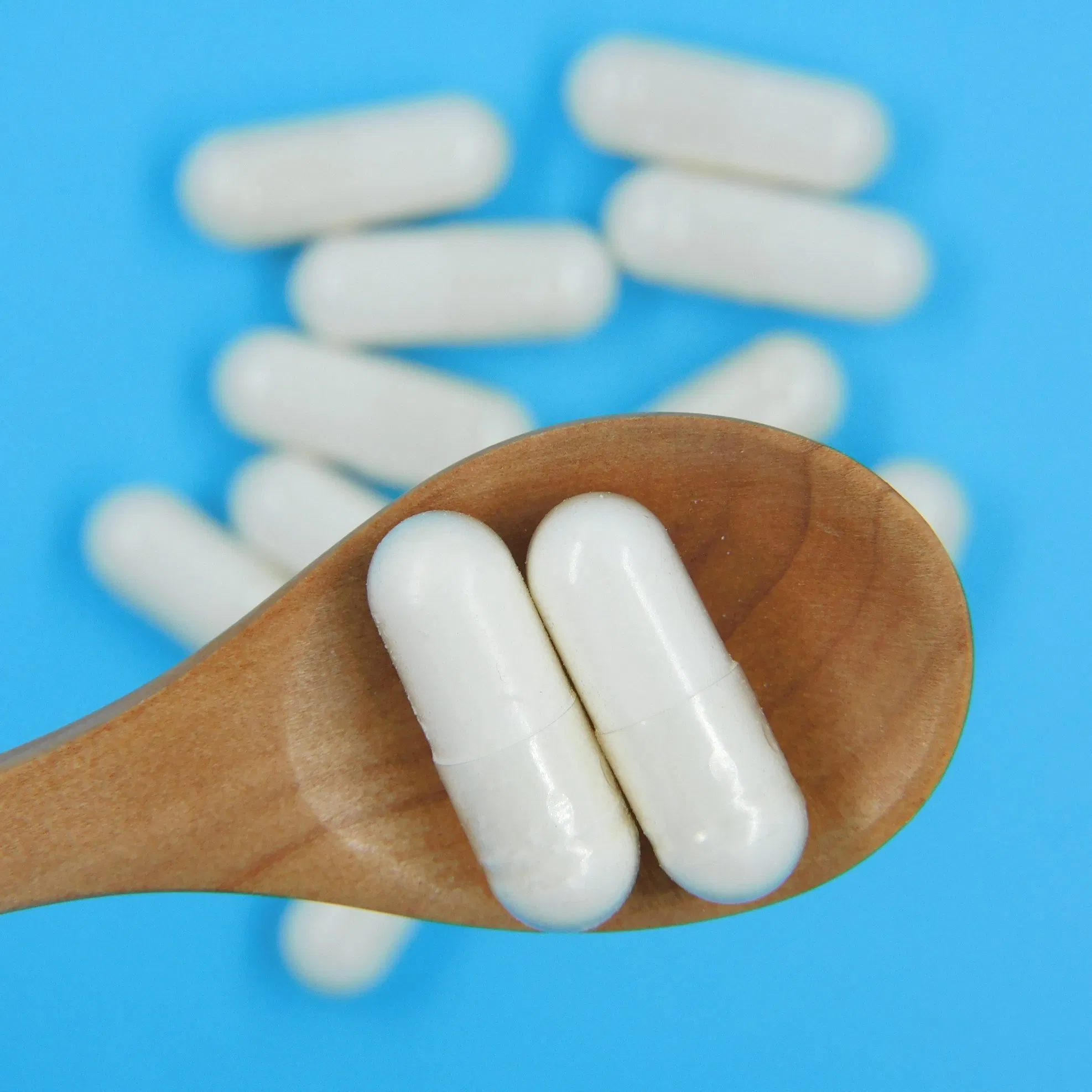 Premium Gut Health Support Formula for Optimal Digestion