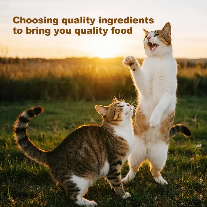 Premium Chunk in Broth Savory Wet Cat Food 85g Digestive Care Hypoallergenic Nutritious Meal Protein Rich Staple Food