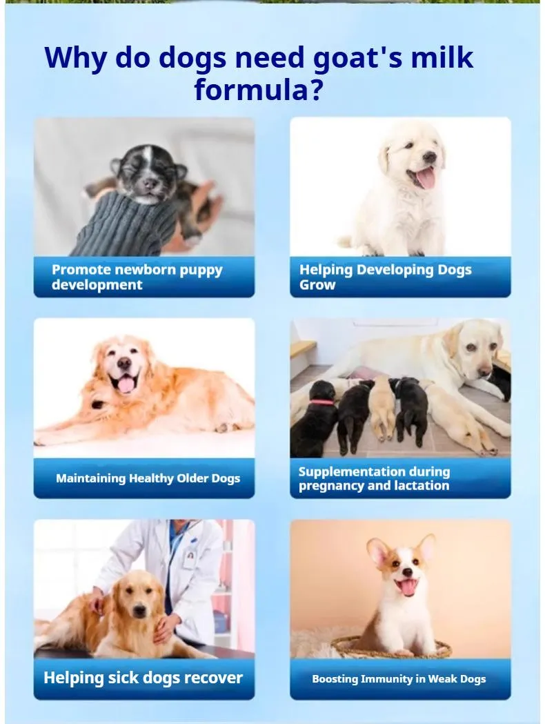 Premium Goat Formula OEM ODM