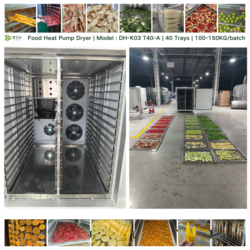 DH-K03 T40-A | 40 Trays | Heat Pump Dehydrator | 100-150KG Food Dryer Machine for Fruits, Pet Food, Fish, Meat | Drying Cabinet
