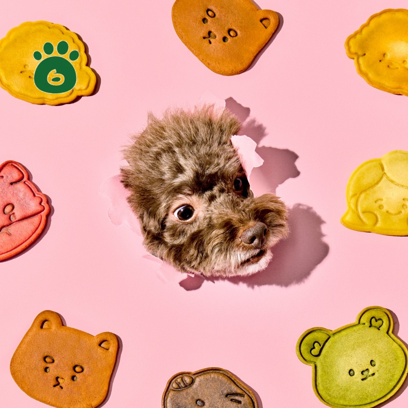 Pet Immunity Treats-Made with China Rice, Olive Oil &amp; Egg, Hypoallergenic Snack for Dogs &amp; Cats