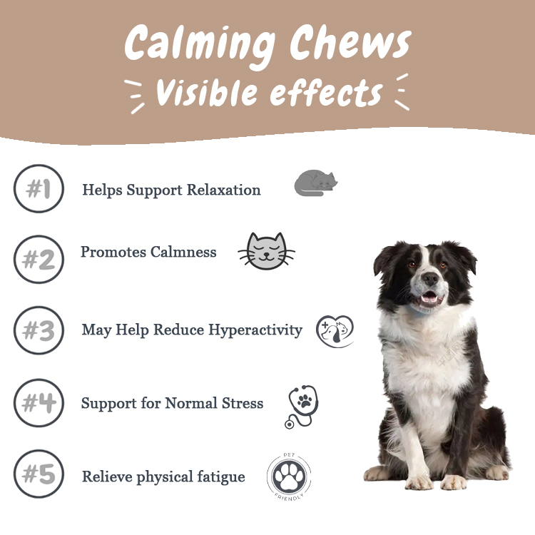Pet supplement details 2