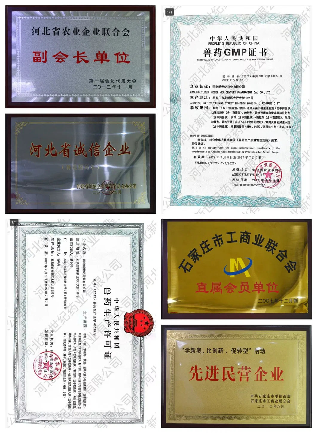 GMP Certificate Document 3