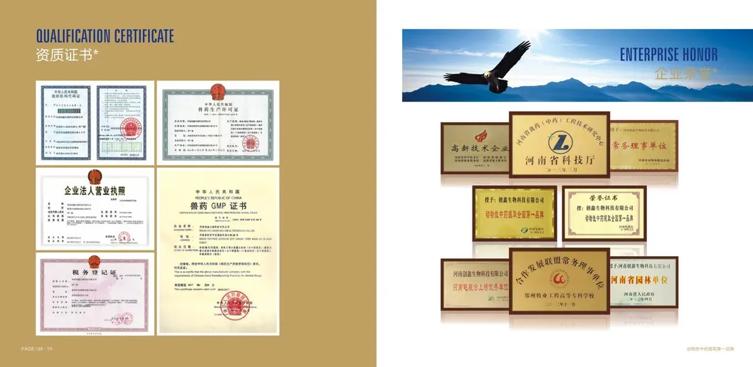 Certificate 1