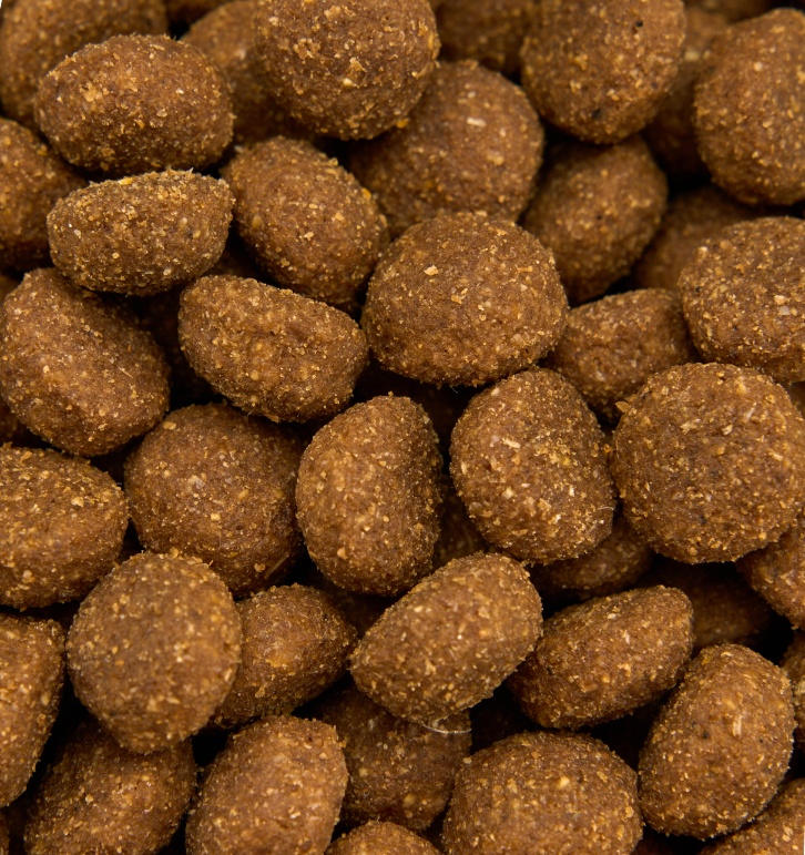 Pet Food Processing 3