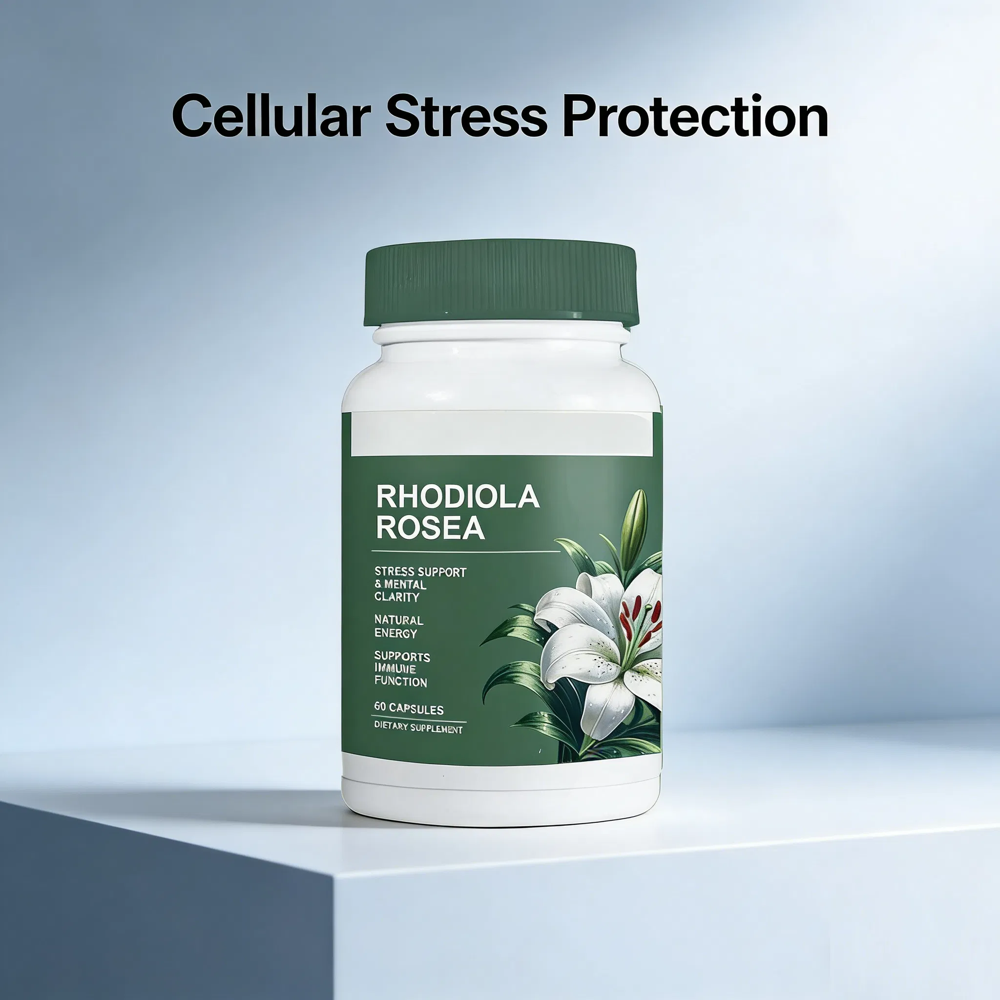 Rhodiola Health Food Supplement - OEM Formula for Enhanced Brain Performance