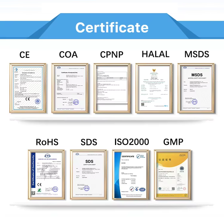Company Honors & Certificates