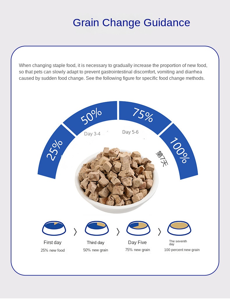 Pet Freeze Dried Snack View 18