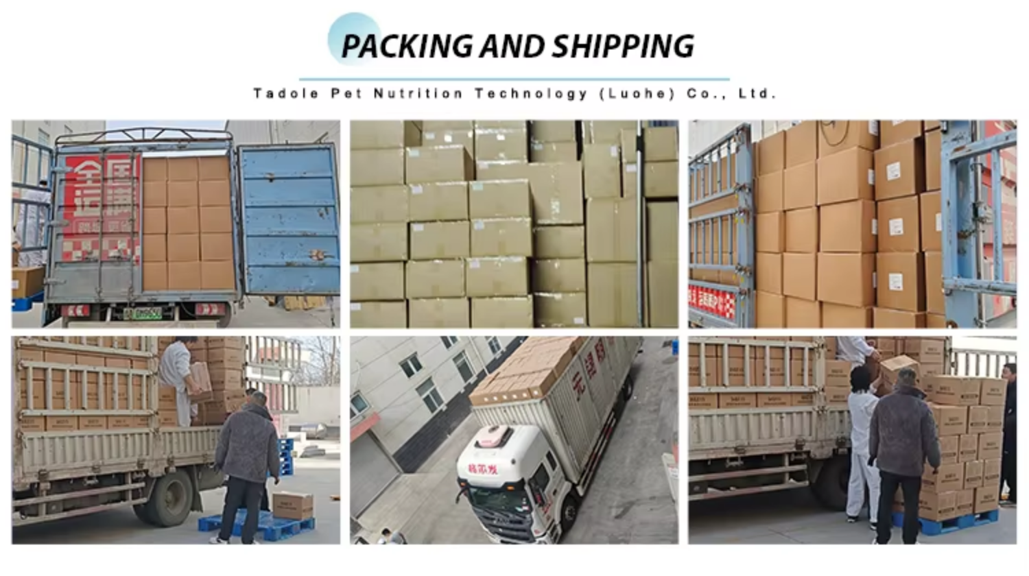 Packaging and Shipping