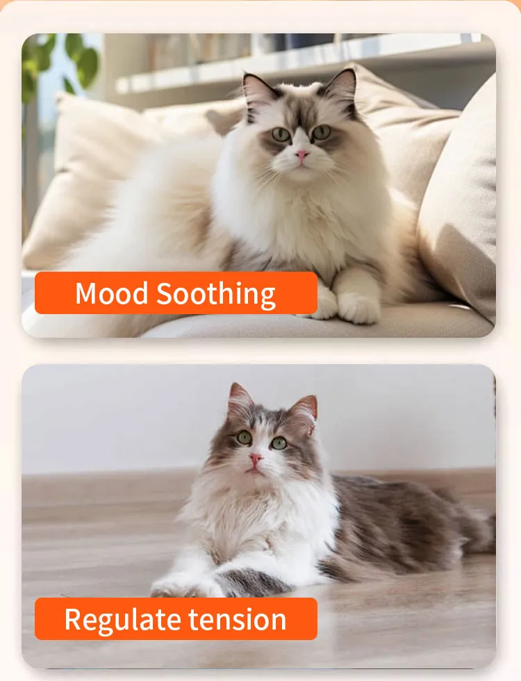 Veterinary Supplement Cat Health Feed Nutrition Liquid Oral Use