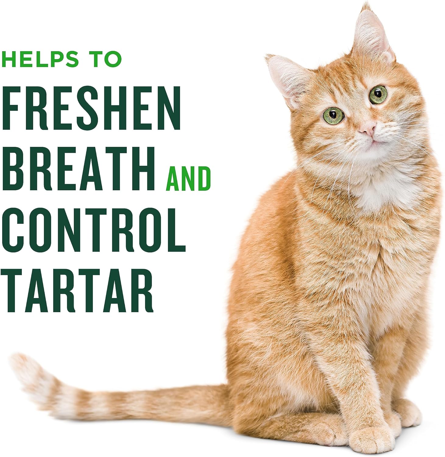 OEM/ODM Delicious Cat Soft Chews Pet Dental Health Treats with Fucoidan and Parsley Powder for Oral Cleaning