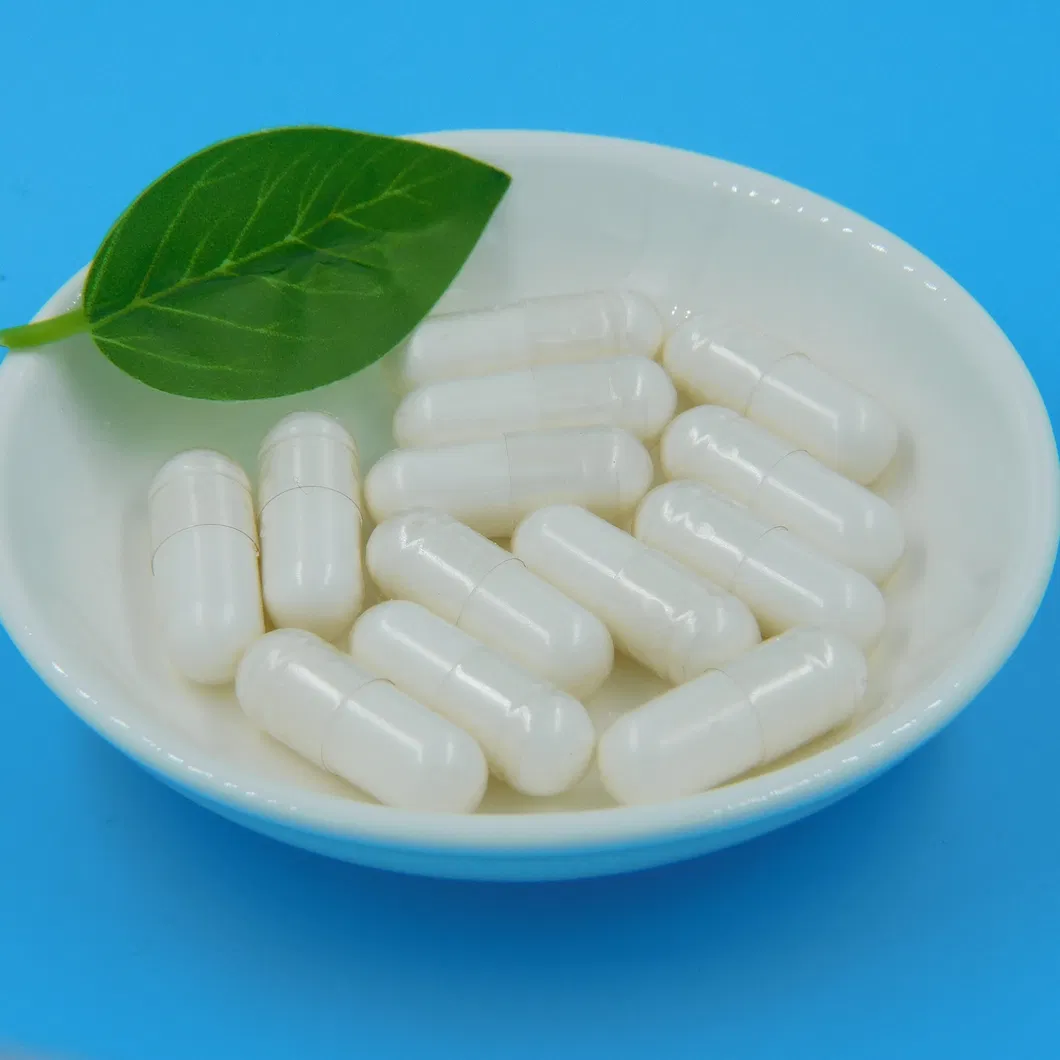 Premium Gut Health Support Formula for Optimal Digestion