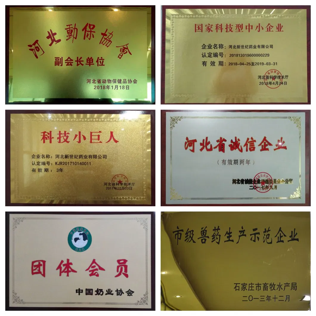 GMP Certificate Document 2