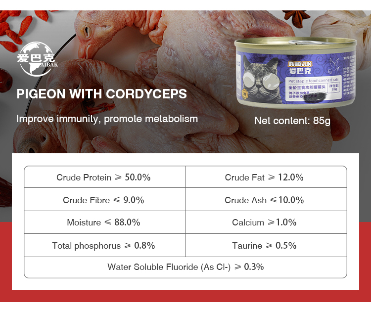 Cat Food Protein Content