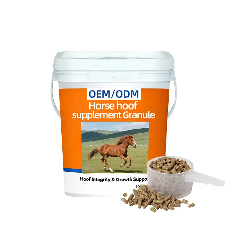 OEM/ODM Premium Biotin Formula for Equine Hoof Health Support