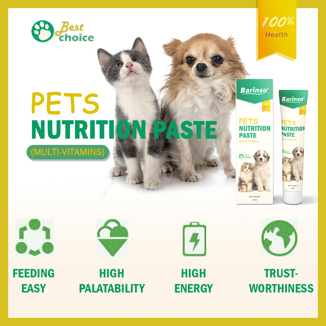 OEM&amp;ODM Pet Daily Nutrition Care Supplement Malt-Flavored High Calorie MULTI VITAMINS Nutritional Gel for Dogs &amp; Cats