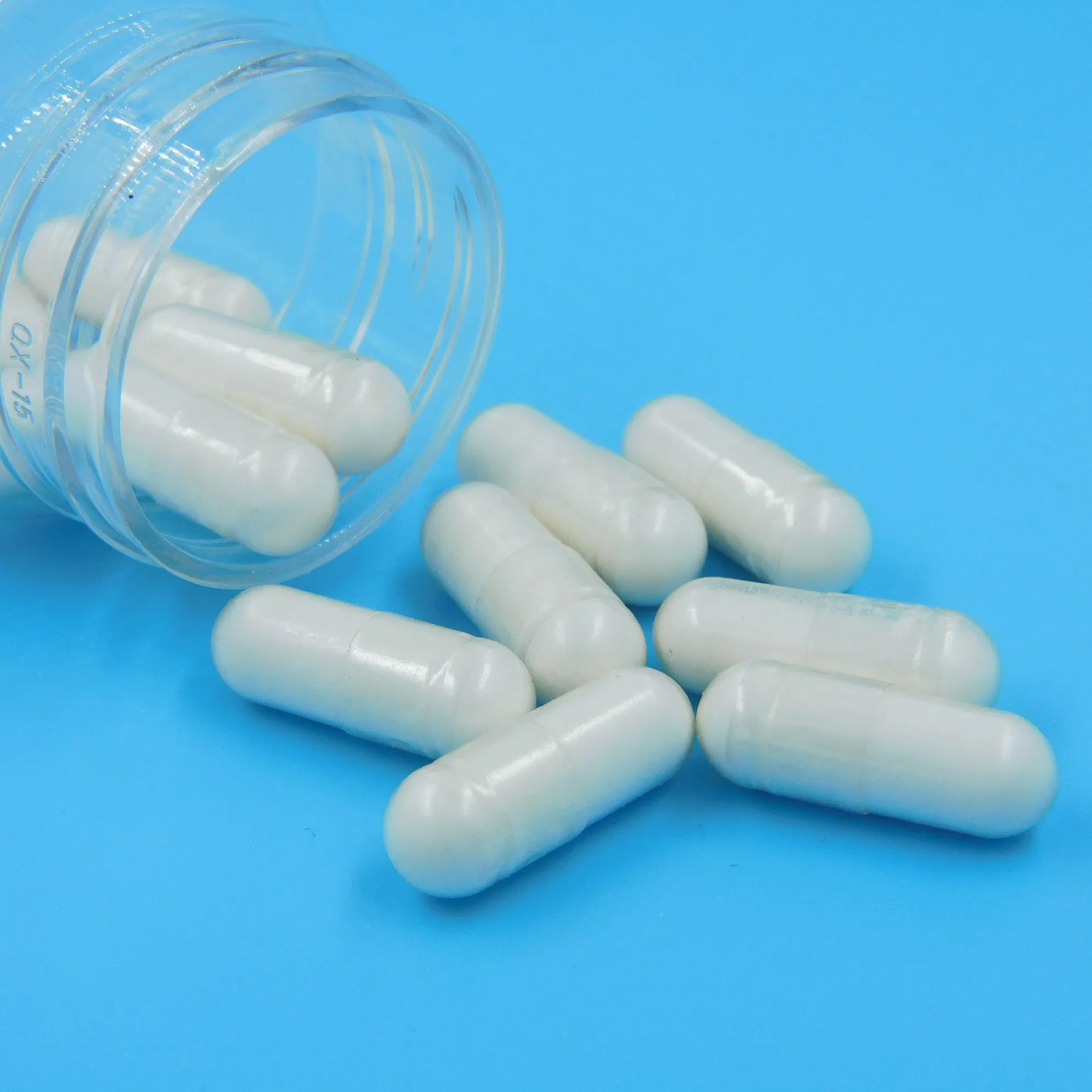Premium Gut Health Support Formula for Optimal Digestion