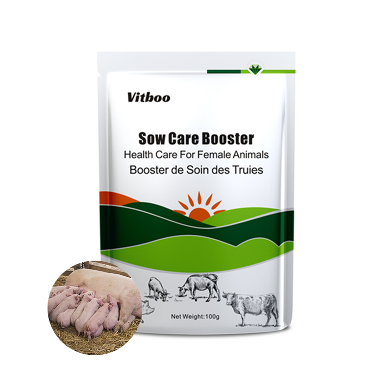 Swine Sow Health Care Booster Feed Supplement Sow Nutrition Plus Improve Piglet Survival Rate More Born Piglets