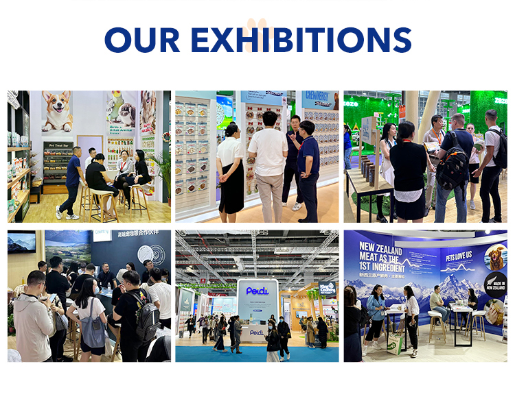 International Trade Exhibitions